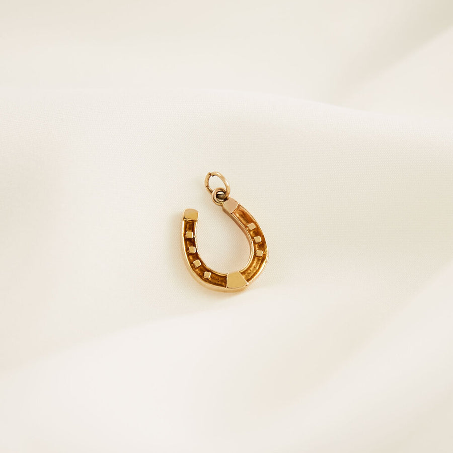 Chunky Horseshoe