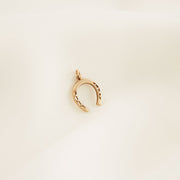 Mini Horseshoe