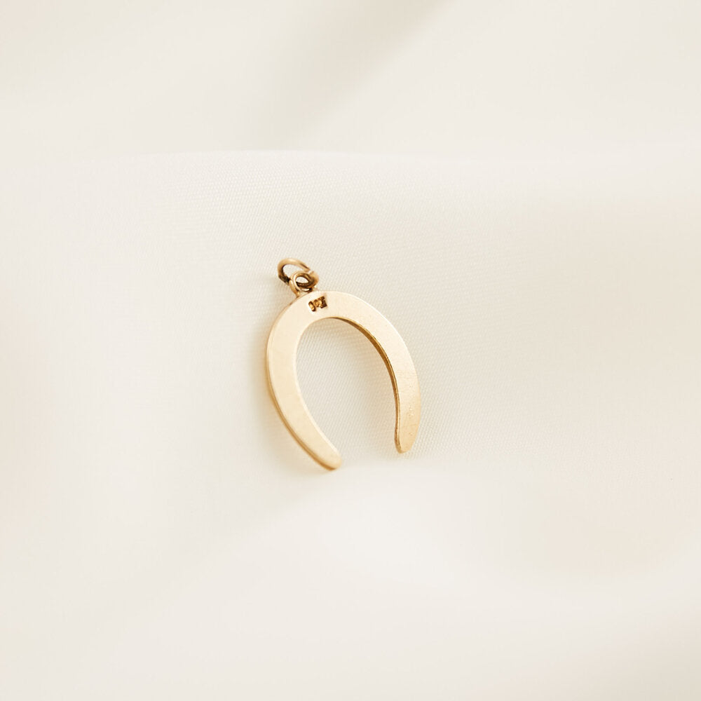Large Horseshoe