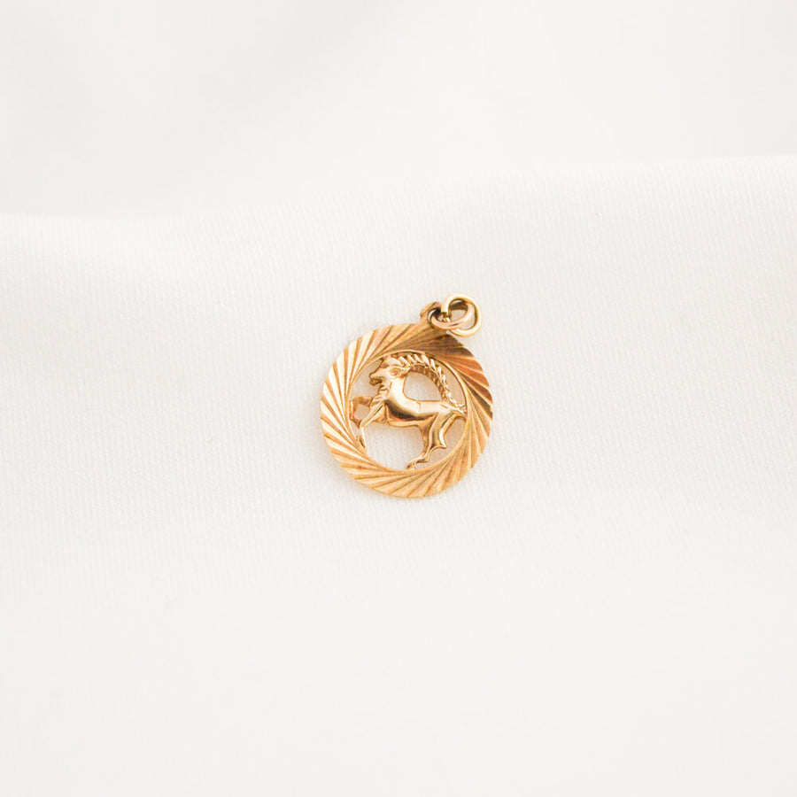 Capricorn Pendant
