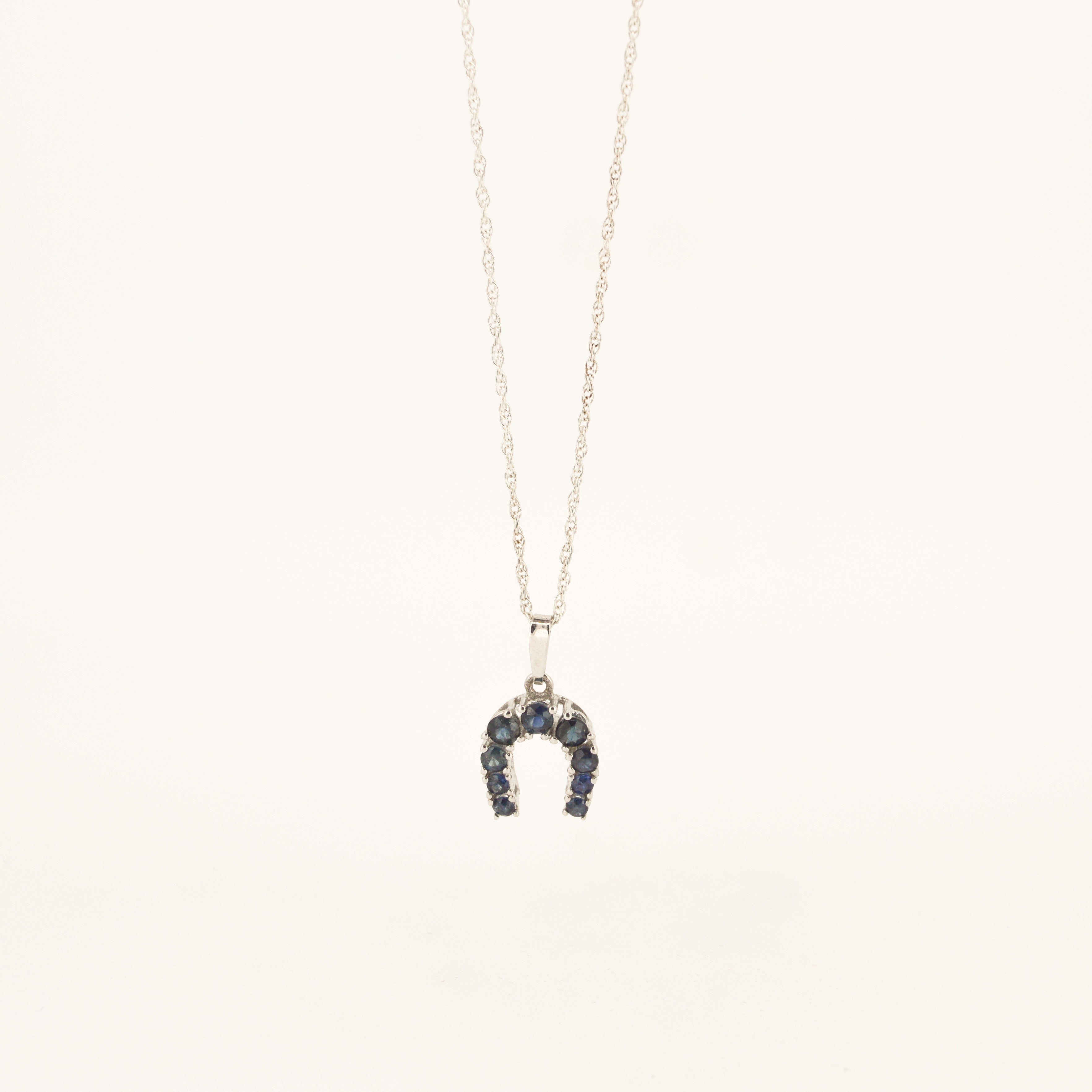 Links of hotsell london horseshoe necklace
