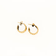 Chunky Gold Croissant Earrings - 15mm