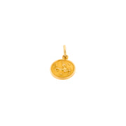 9ct Gold Capricorn Charm