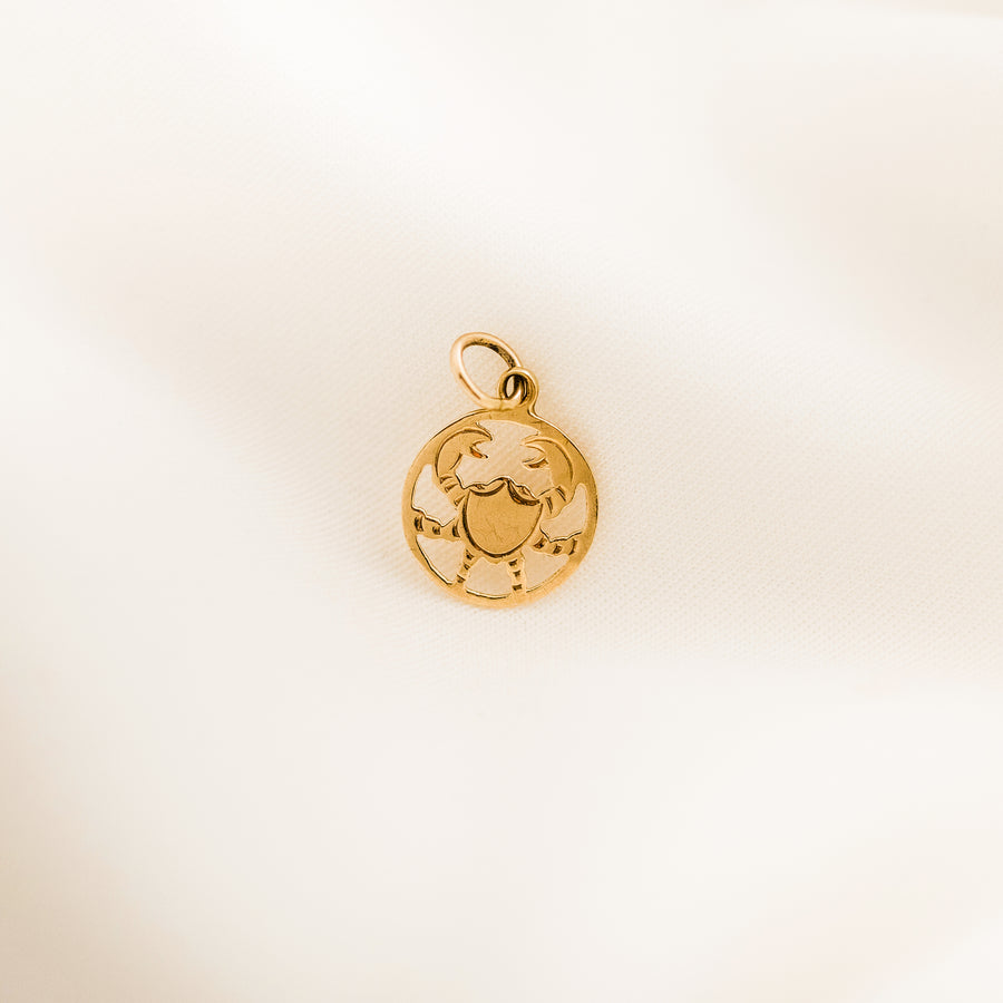 Vintage Cancer Star Sign