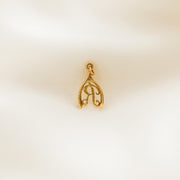 Letter R Wishbone